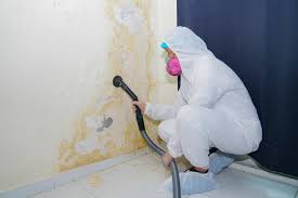 Best Industrial Mold Remediation  in George, IA